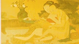 新金瓶梅  第三回  全集