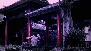 新金瓶梅  第四回  全集