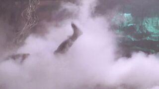 聊斋艳谭之灯草和尚